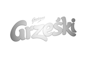 Wypożyczalnia Słuchawek Silent Disco Wrocław - Partner: Nazwa firmy