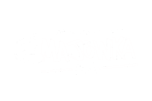 Wypożyczalnia Słuchawek Silent Disco Wrocław - Partner: Nazwa firmy