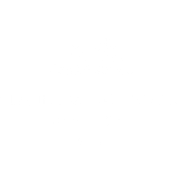 Wypożyczalnia Słuchawek Silent Disco Wrocław - Partner: Nazwa firmy