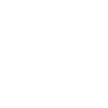 Wypożyczalnia Słuchawek Silent Disco Wrocław - Partner: Nazwa firmy